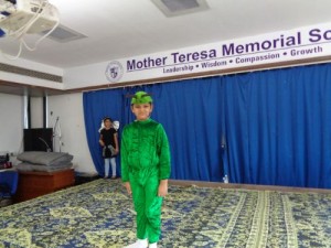 Fancy Dress Competition