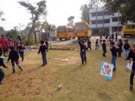 Kite Flying