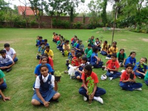 Tree Plantation