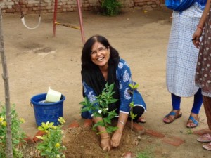 Tree Plantation