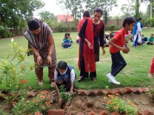 Tree Plantation