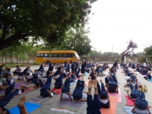 Yoga Day