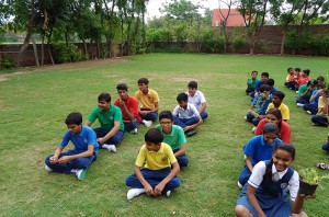 playground_4    